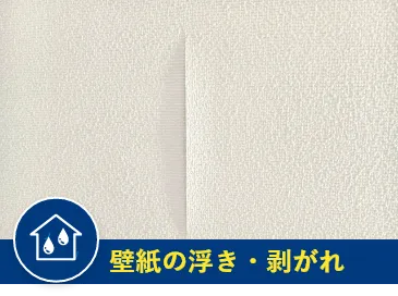 壁紙の浮き・剥がれ